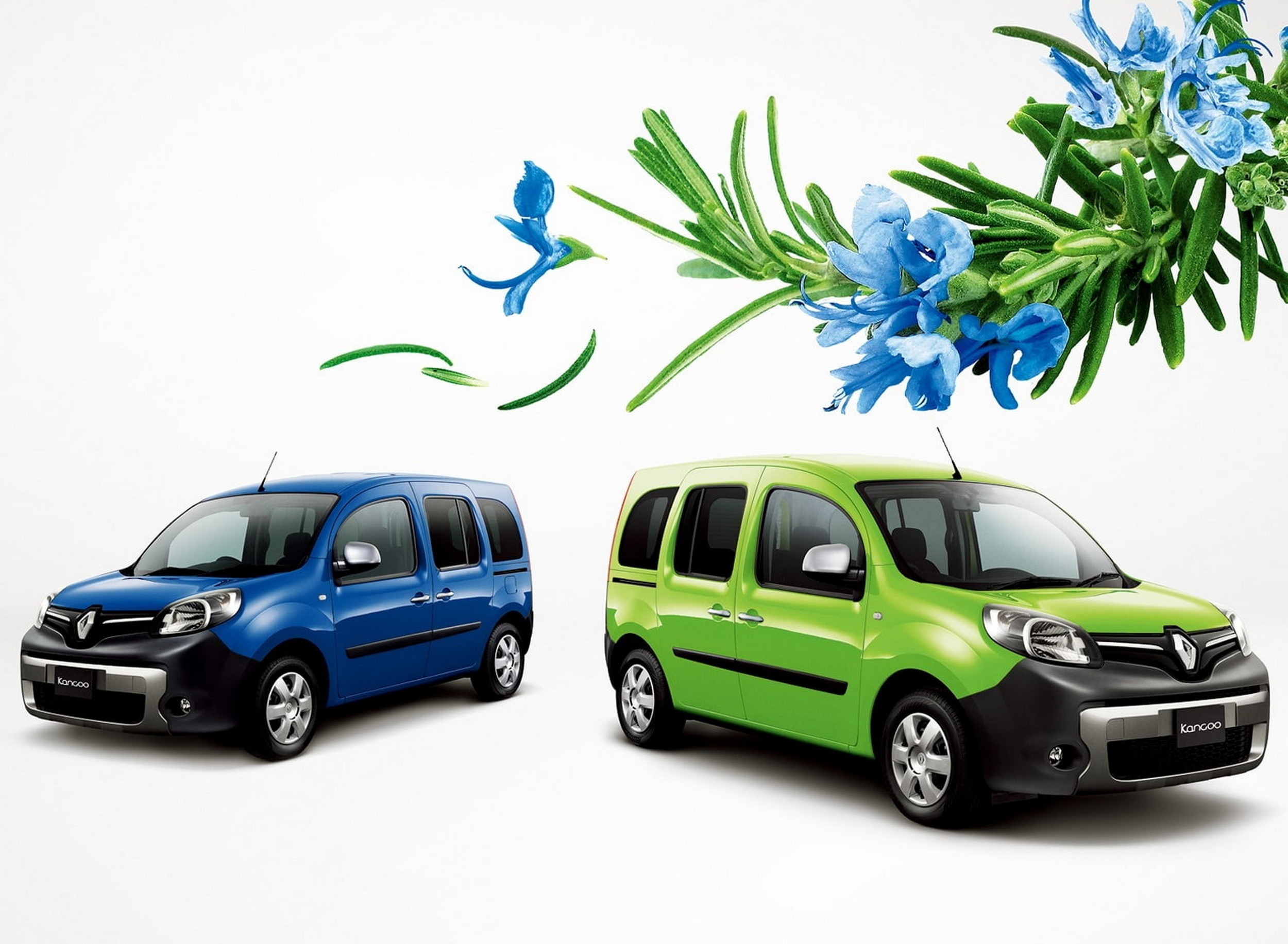 Renault Kangoo Couleur - History - Japan (5)