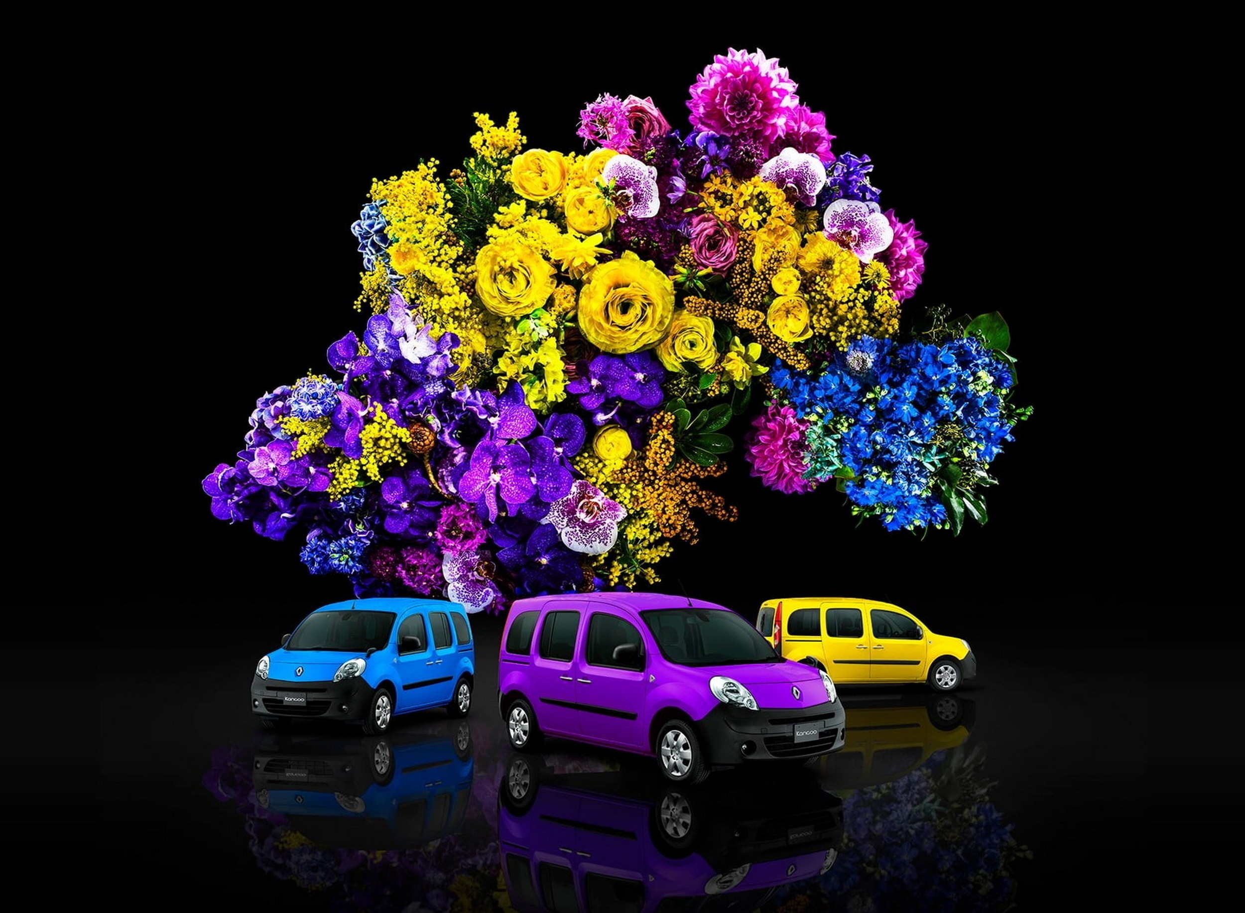 Renault Kangoo Couleur - History - Japan (6)