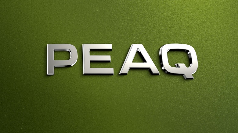 Skoda Peaq Logo