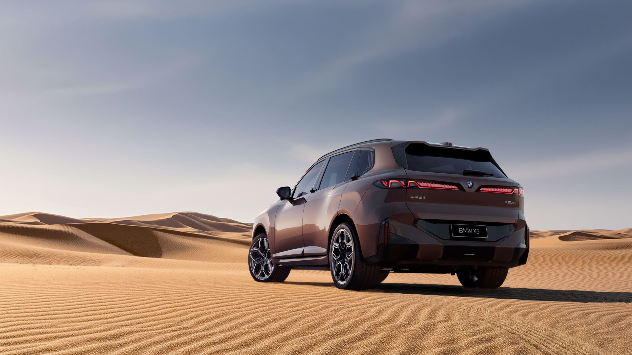 BMW X5 L iX5 L China - 15
