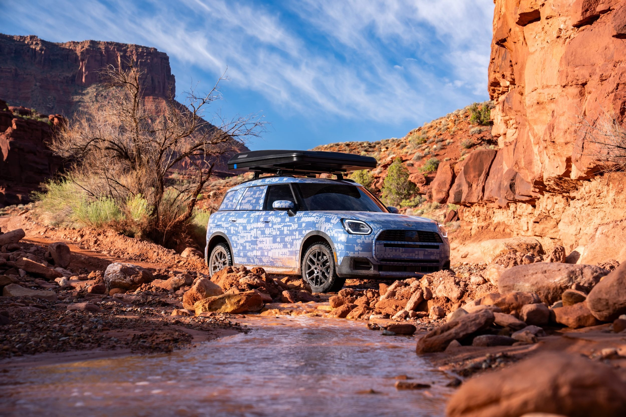Mini Countryman - Rugged Variant - Teaser (15)
