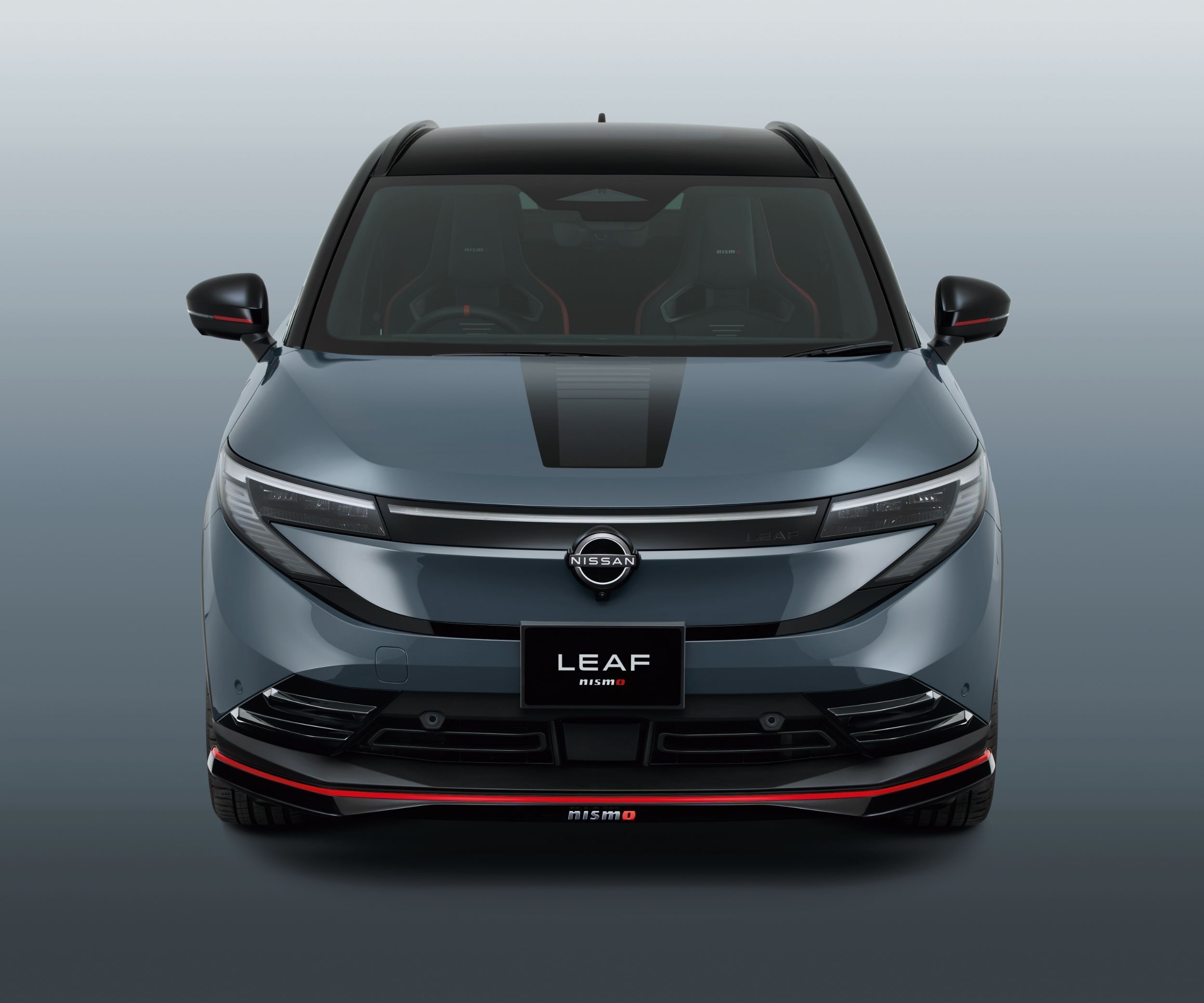 Nissan Leaf Nismo - Japan (10)