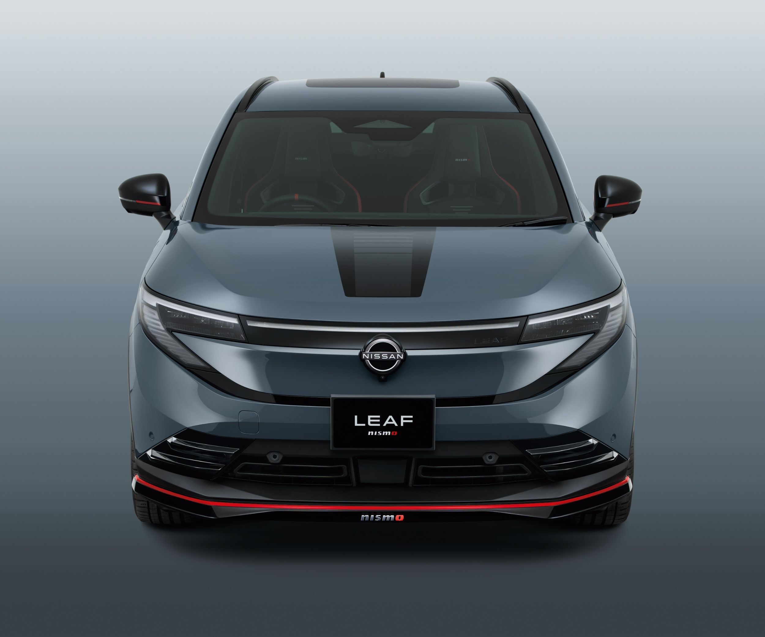Nissan Leaf Nismo - Japan (11)
