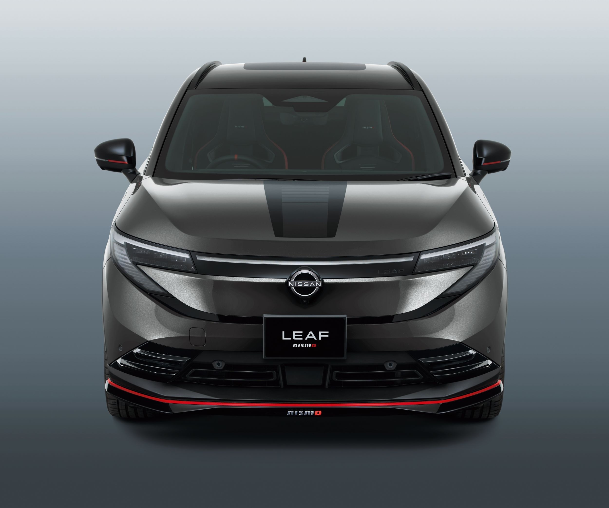 Nissan Leaf Nismo - Japan (12)