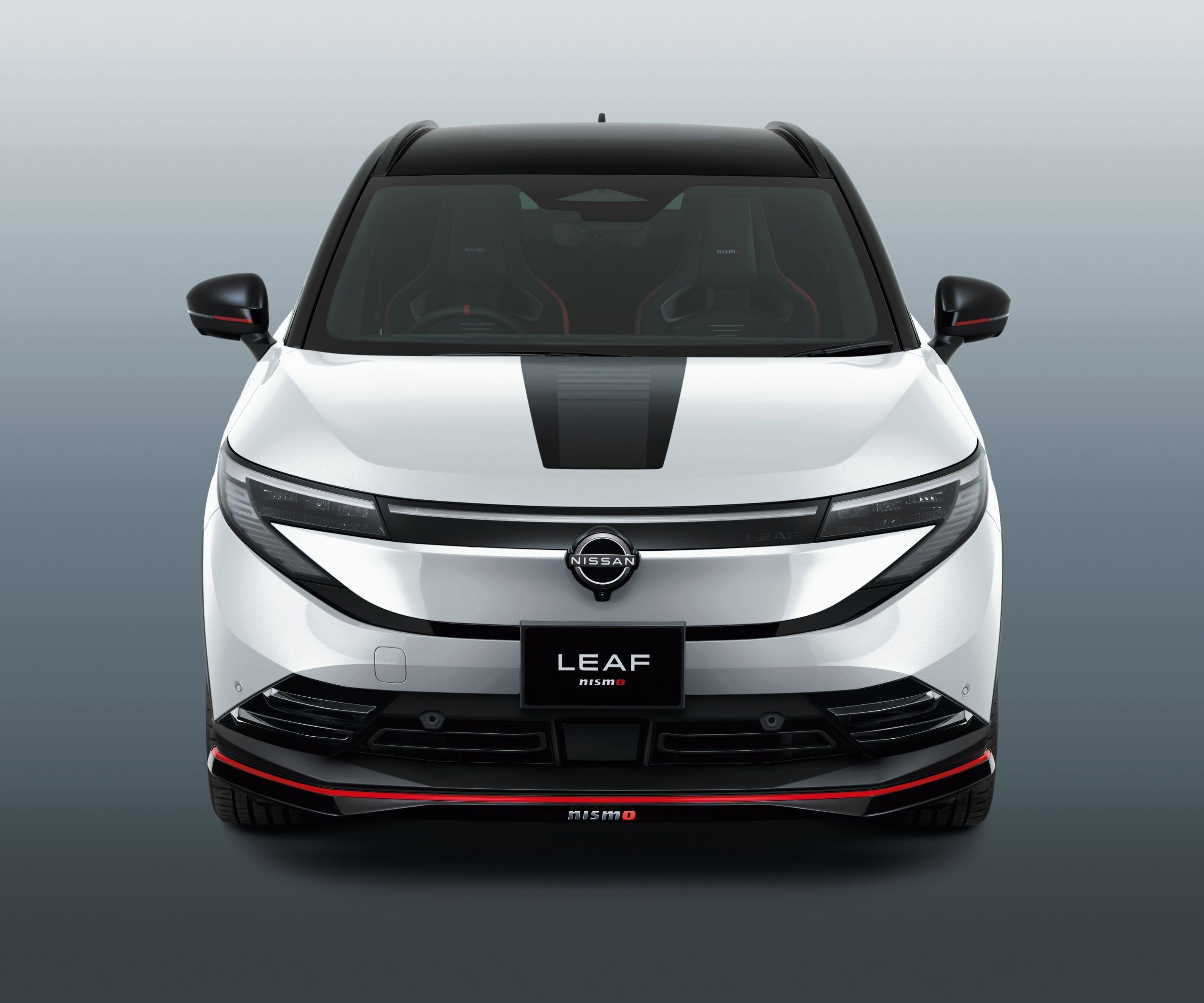 Nissan Leaf Nismo - Japan (8)