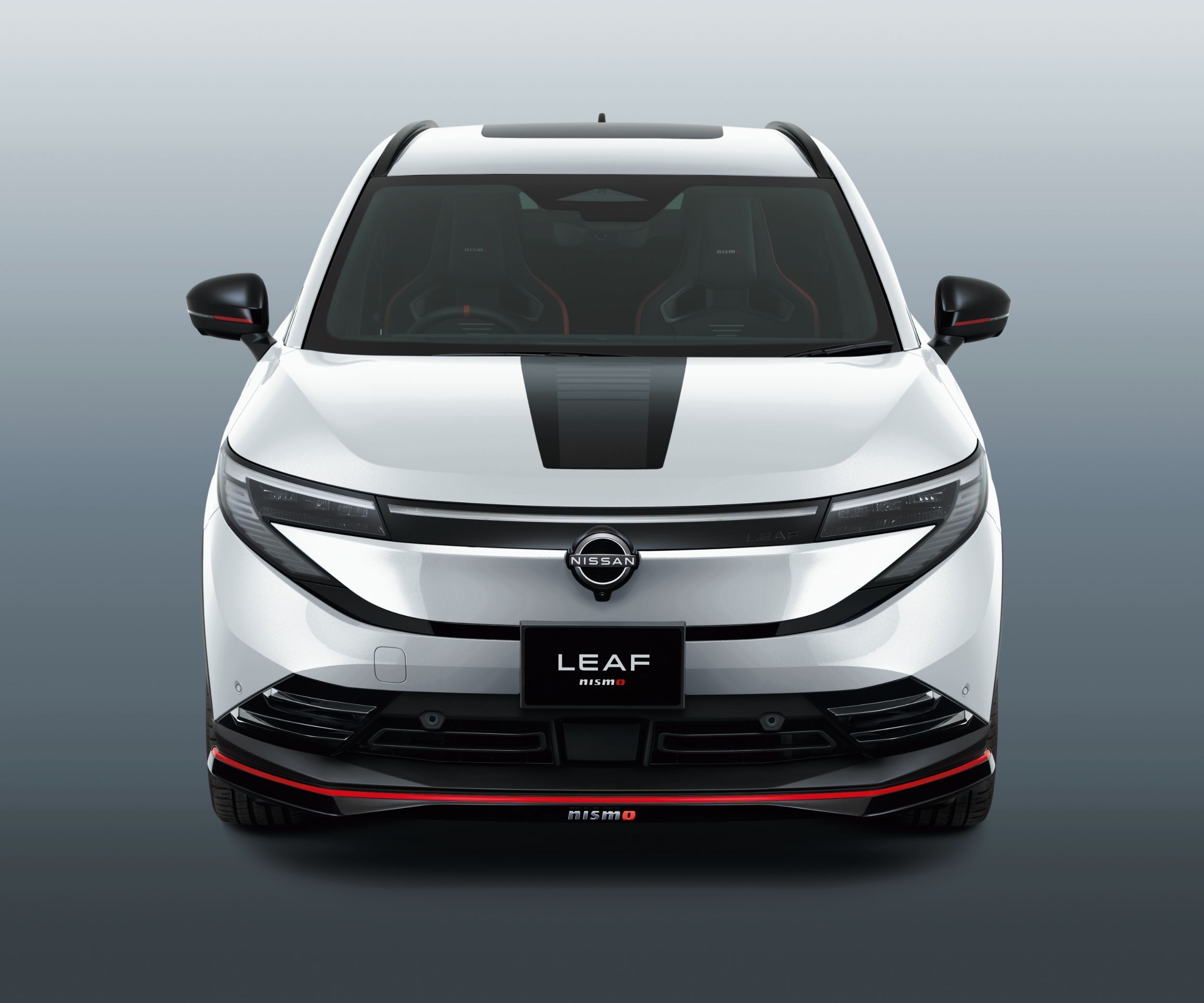 Nissan Leaf Nismo - Japan (9)
