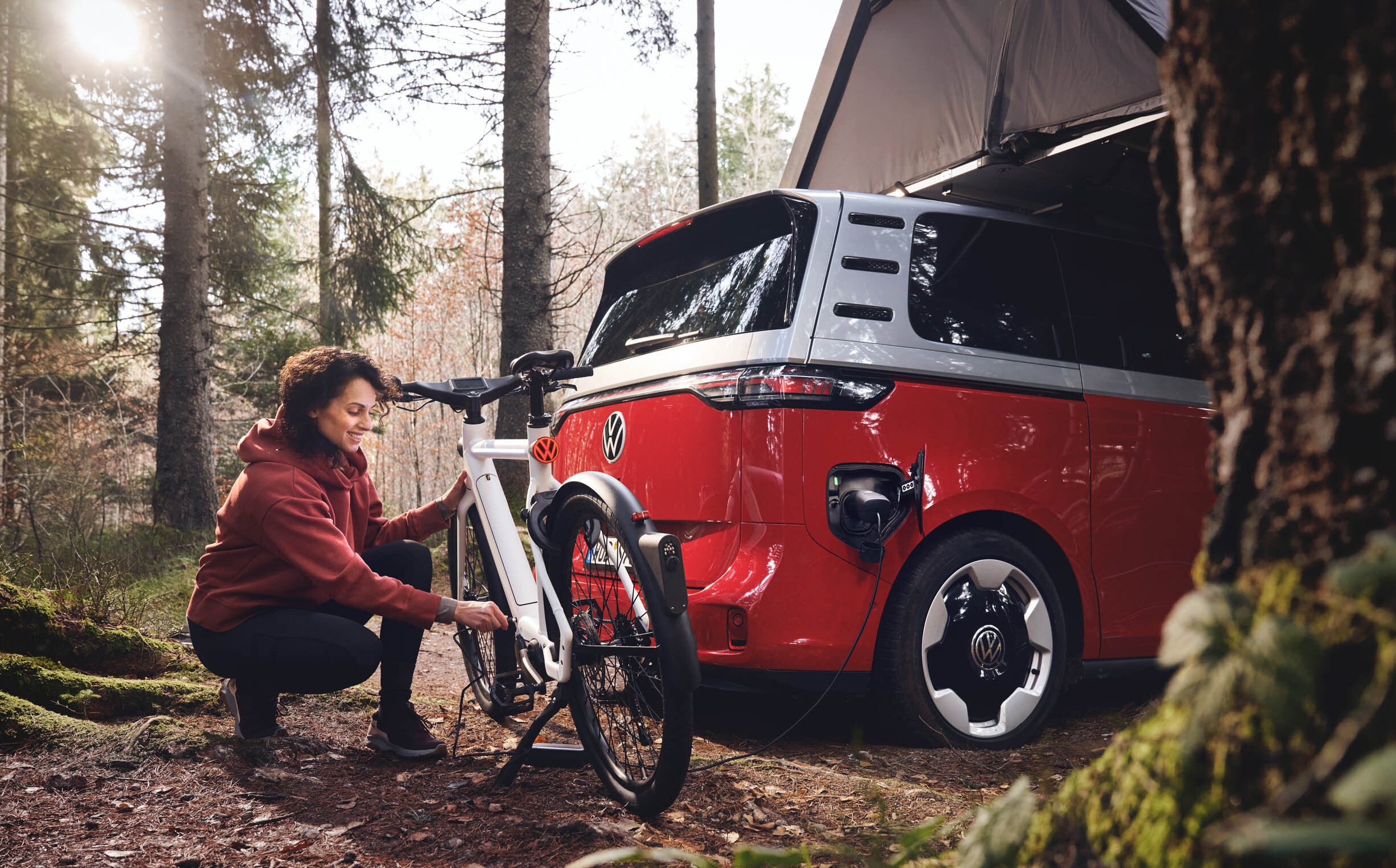 VW e-bike safety tech 00001