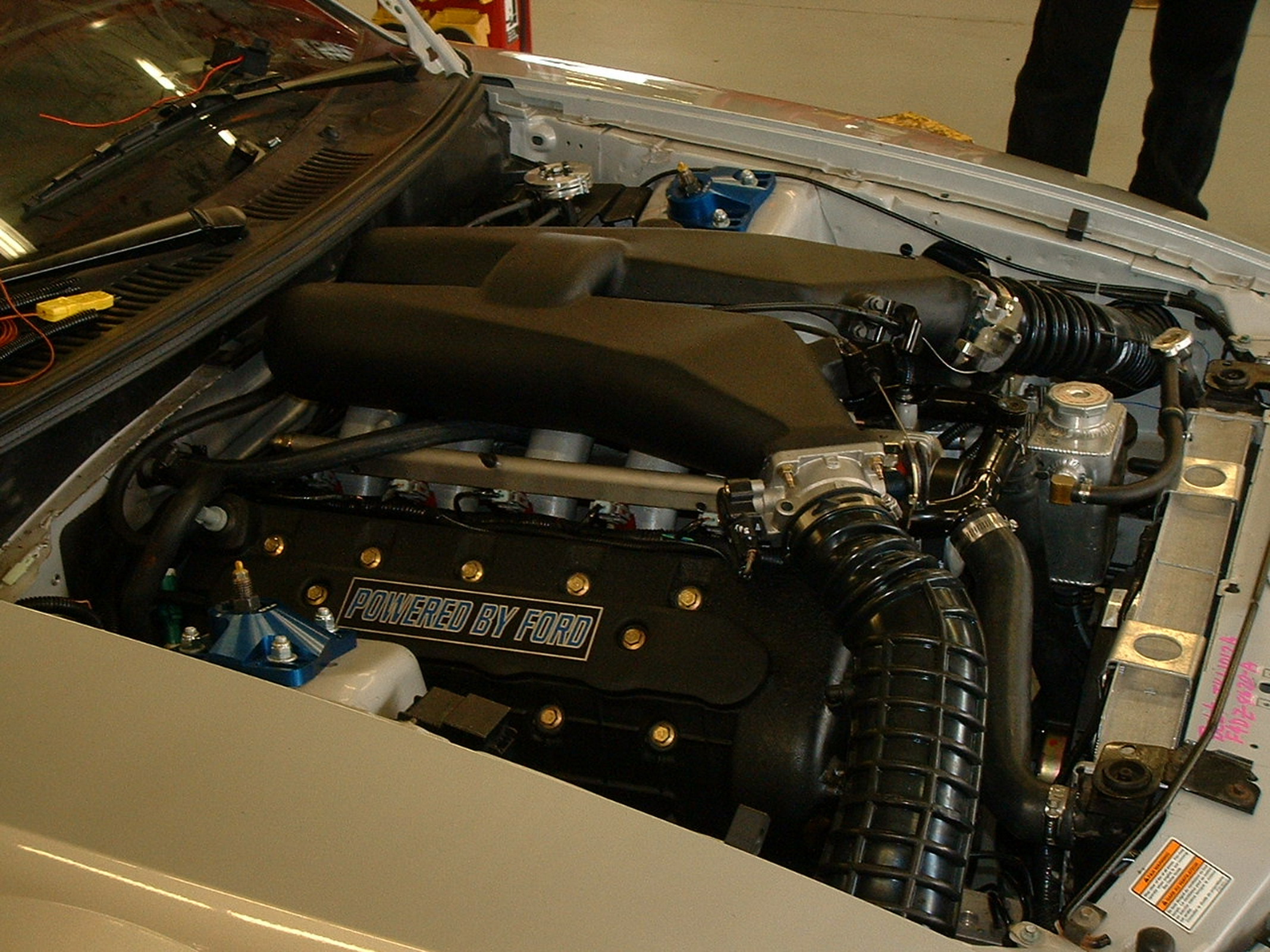 V10_Build_2_136