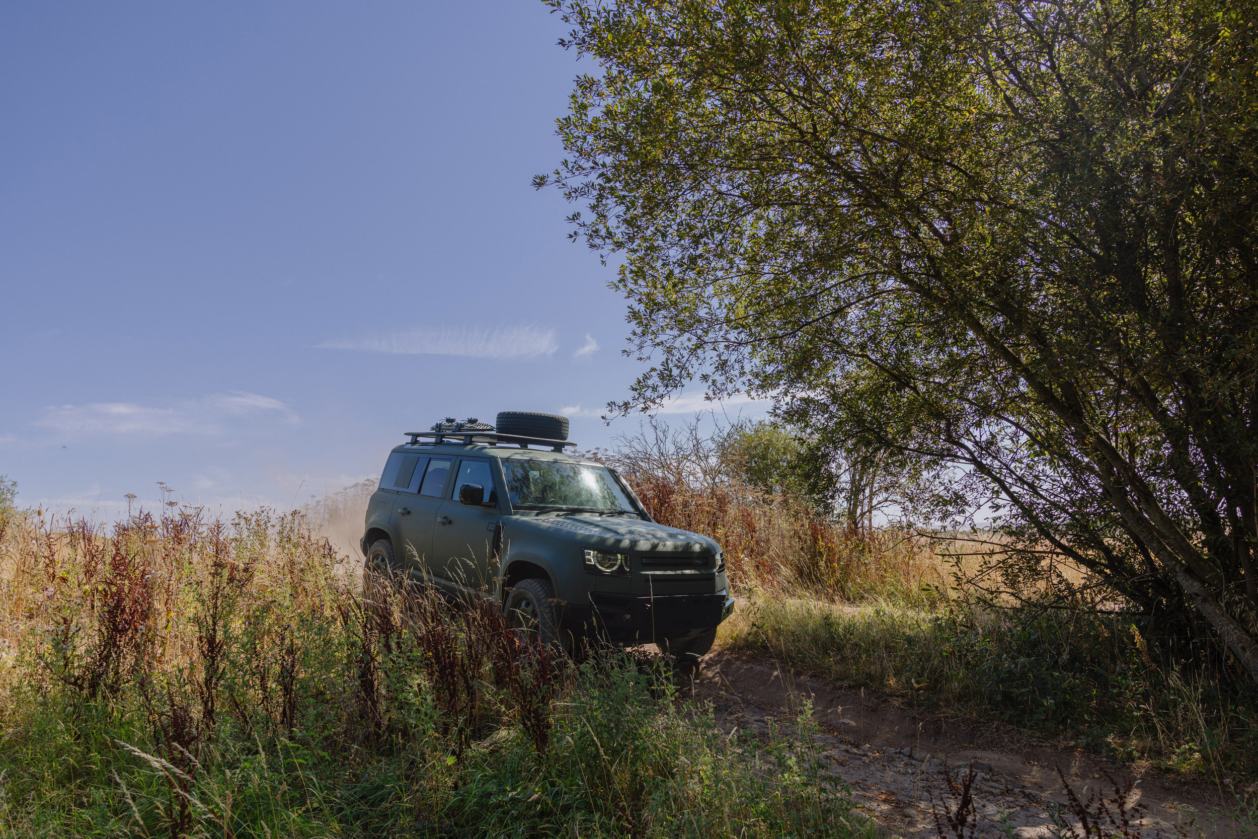 Land Rover Defender Wolf Series II 904 1