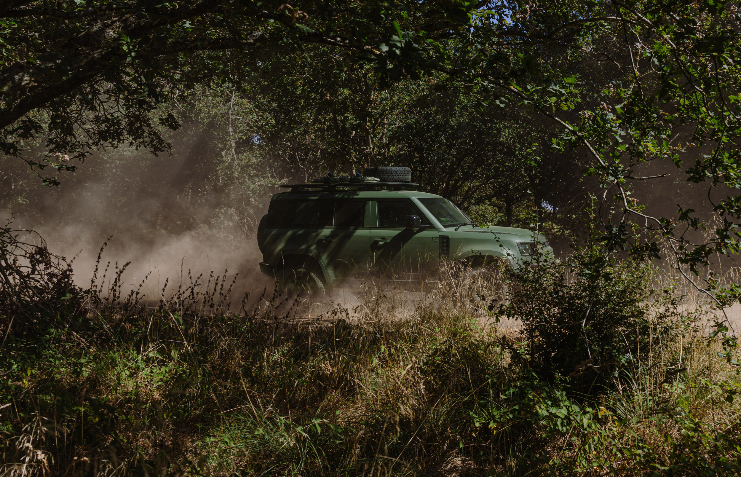 Land Rover Defender Wolf Series II 904 3