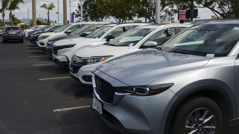 A selection of used cars on a dealer lot