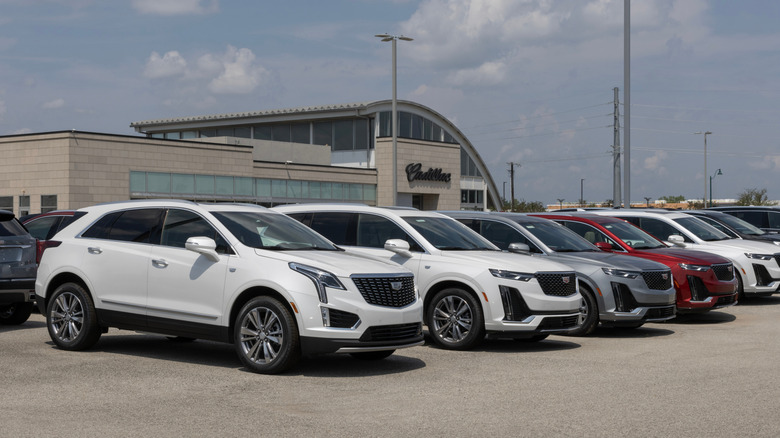 Various Cadillac SUVs on a dealership lot
