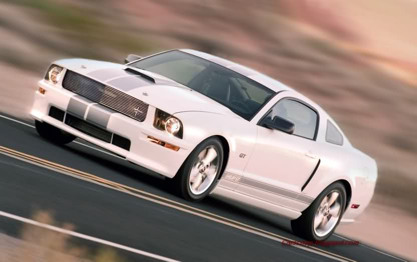  Ford Shelby GT coming in January 2007