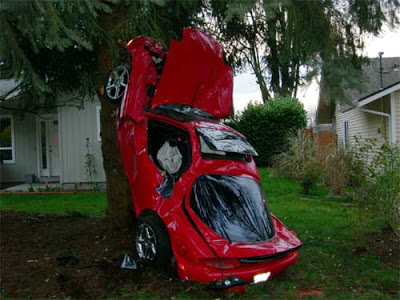 Mazda RX-7 driver “parks” his car on a tree…