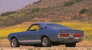 Shelby-Caroll-65 Shelby-Caroll-65