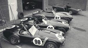 Shelby-Caroll-19 Shelby-Caroll-19