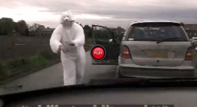 Polar Bear Driving a Mercedes-Benz Pulled Over and Arrested – No Really