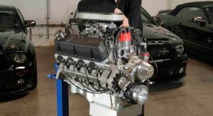 Shelby-Caroll-97 Shelby-Caroll-97