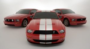 Shelby-Caroll-81 Shelby-Caroll-81
