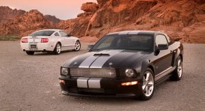 Shelby-Caroll-87 Shelby-Caroll-87