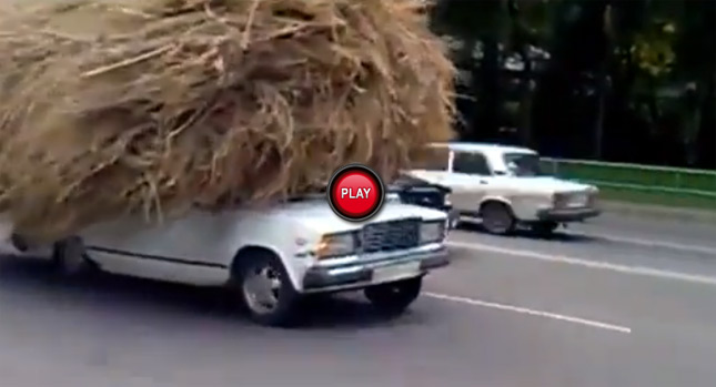  Humor us With Your Captions: Talk About Having a Bad Hay Day…