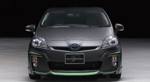 Wald-Toyota-Prius-7