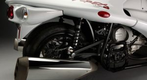 Campagna-T-Rex-16S-9 Campagna-T-Rex-16S-9