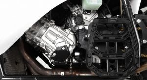 Campagna-T-Rex-16S-6 Campagna-T-Rex-16S-6