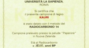 BMW-Pininfarina-Gran-Lusso-Coupe-50 BMW-Pininfarina-Gran-Lusso-Coupe-50