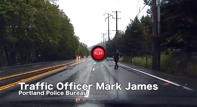  Portland Cop Stops Pursuit to Let Ducks Cross the Road, Restores Our Faith in Humanity