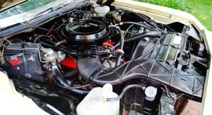 1976-Chevrolet-Caprice-Coupe-43 1976-Chevrolet-Caprice-Coupe-43