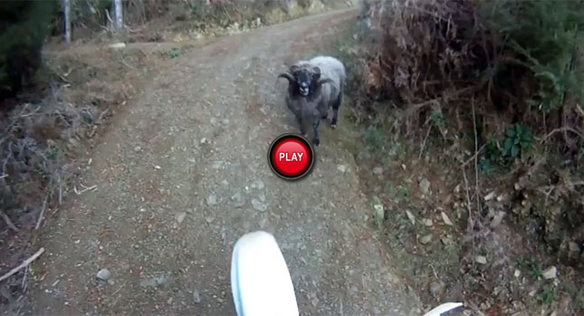  Watch a Pissed Off, Motorcycle-Hating Ram Take Down Enduro Rider