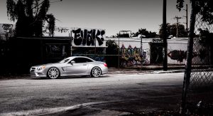 Vossen-13 Vossen-13