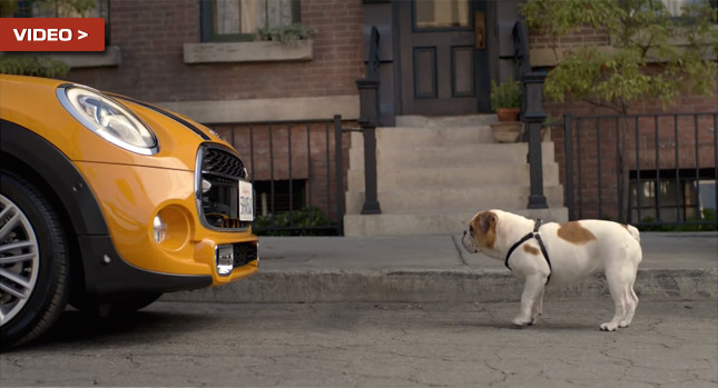  Spike the Bulldog Recognizes the New Mini Hatch as a Worthy Successor in New Commercial