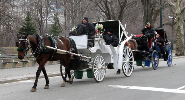  NYC’s Central Park Carriages to Be Replaced by Antique EVs