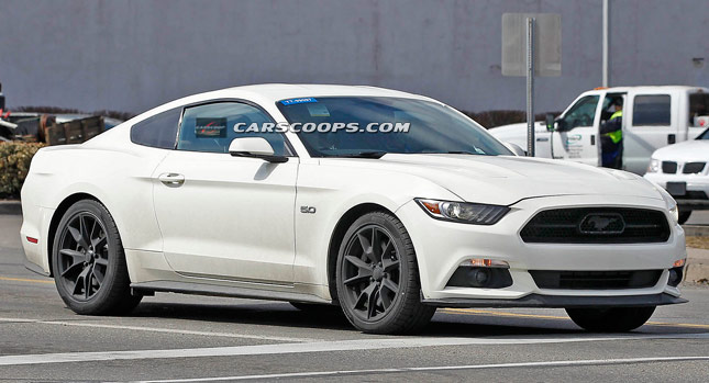  2015 Ford Mustang 50th Anniversary Edition Spied?