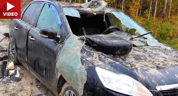  Holy Crap! Look What a Bear Did to a Ford Focus!