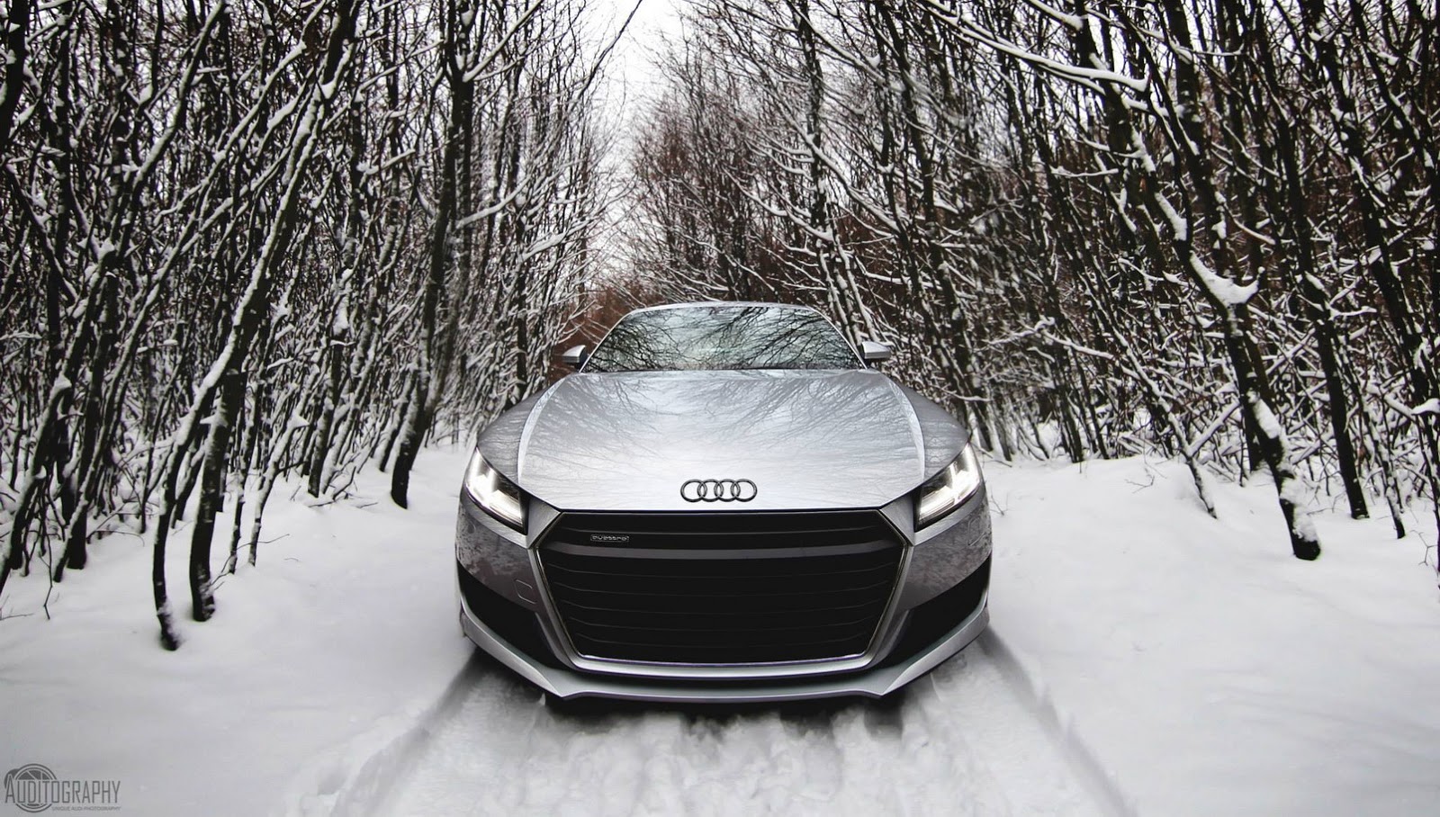2015 Audi TT Is The Perfect Snow Angel