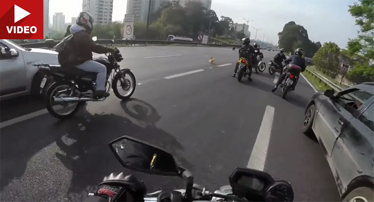  Did These Bikers Do The Right Thing Stopping Traffic On A Highway To Catch Runaway Dog?