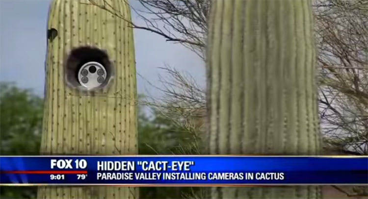  Arizona Town Hides License Plate Reading Cameras Inside Cactus