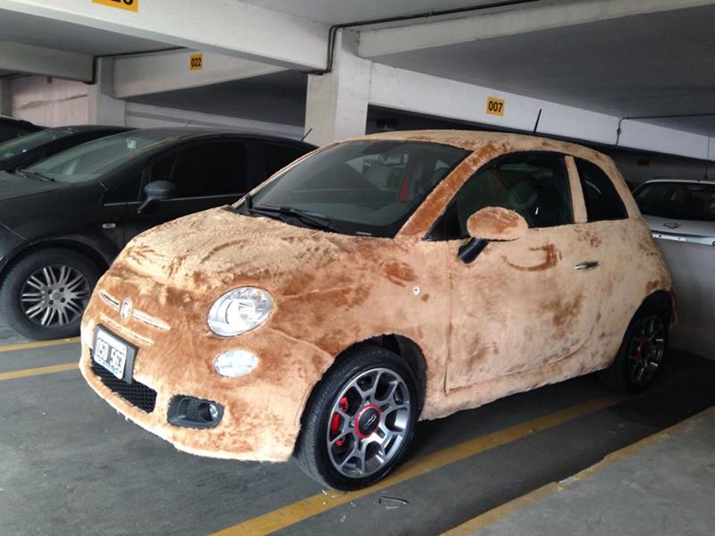 The Owner Of This Fur-Wrapped Fiat 500 Likes Things Nice And Fuzzy