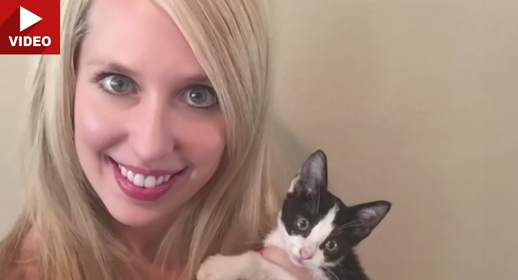 Woman Finds 10-Week Old Kitten Stuck Underneath Her Mercedes