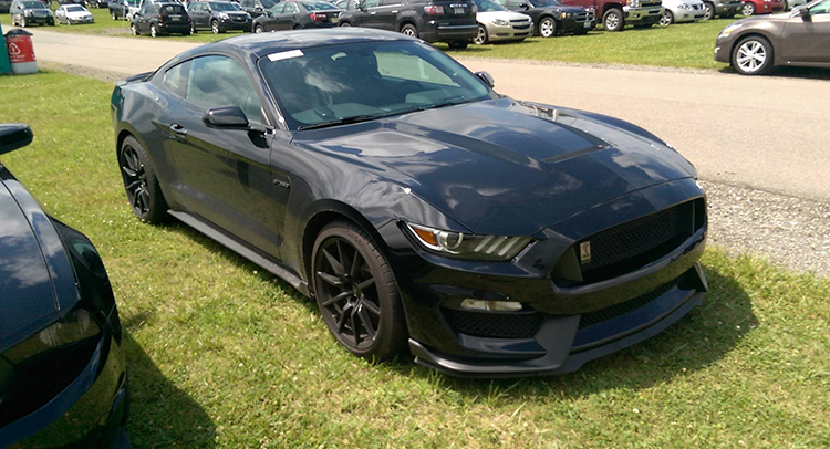  Murdered-Out 2016 Shelby GT350 Spotted In The Wild