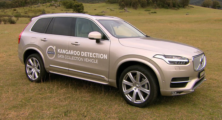  Volvo Developing Kangaroo Detection Technology For Australia [w/Video]