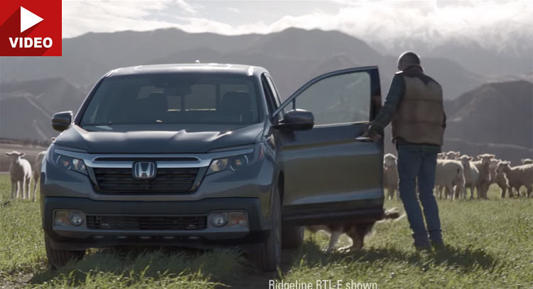  Honda Gets Sheepish With 2016 Ridgeline Super Bowl 50 Commercial