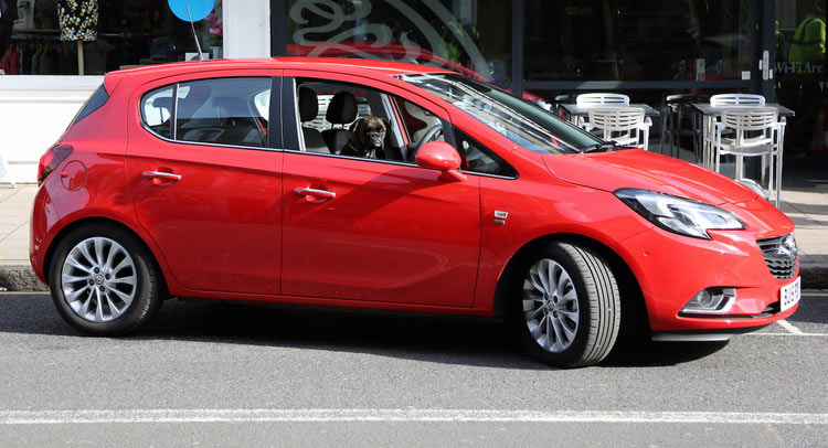  Vauxhall Corsa Shows Off Advanced Park Assist Tech With Dog In Driver’s Seat [w/Video]