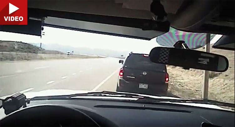 Police Chief Pranks Speeding Driver On April 1st With Drug-Sniffing Feline