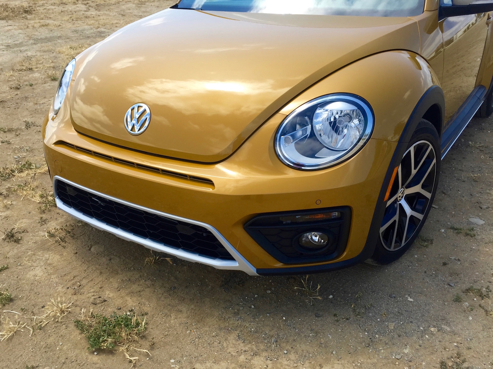 Five First Impressions: 2016 Volkswagen Beetle Dune