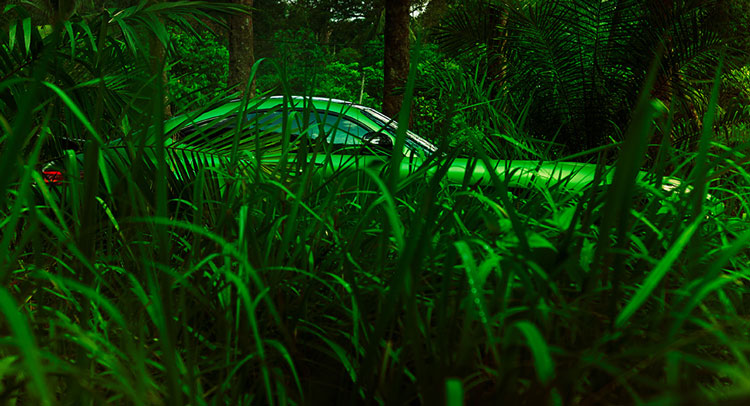  Mercedes-AMG GT R Goes In The Jungle In 12 New Images
