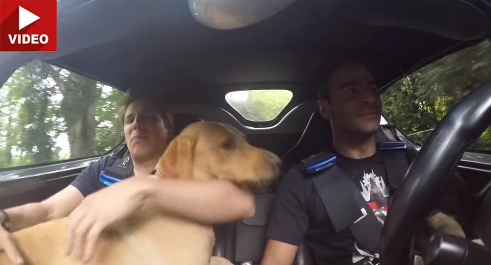 This Hero Uses A Ferrari F50 As His Daily Driver